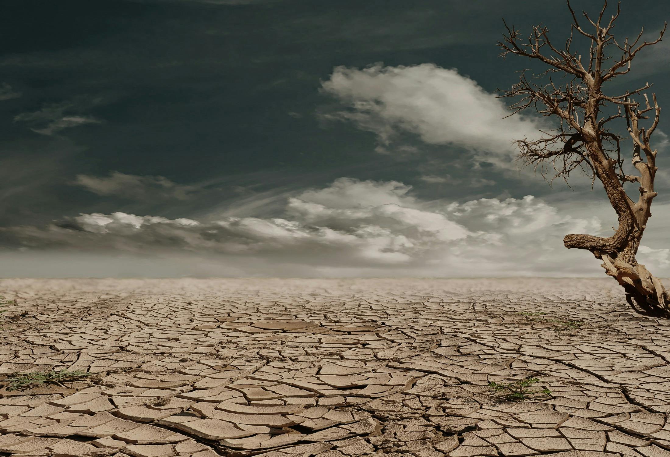 climate_change climate_change